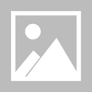 开云APP-【观察】字母哥和雄鹿的一次反潮流逆袭